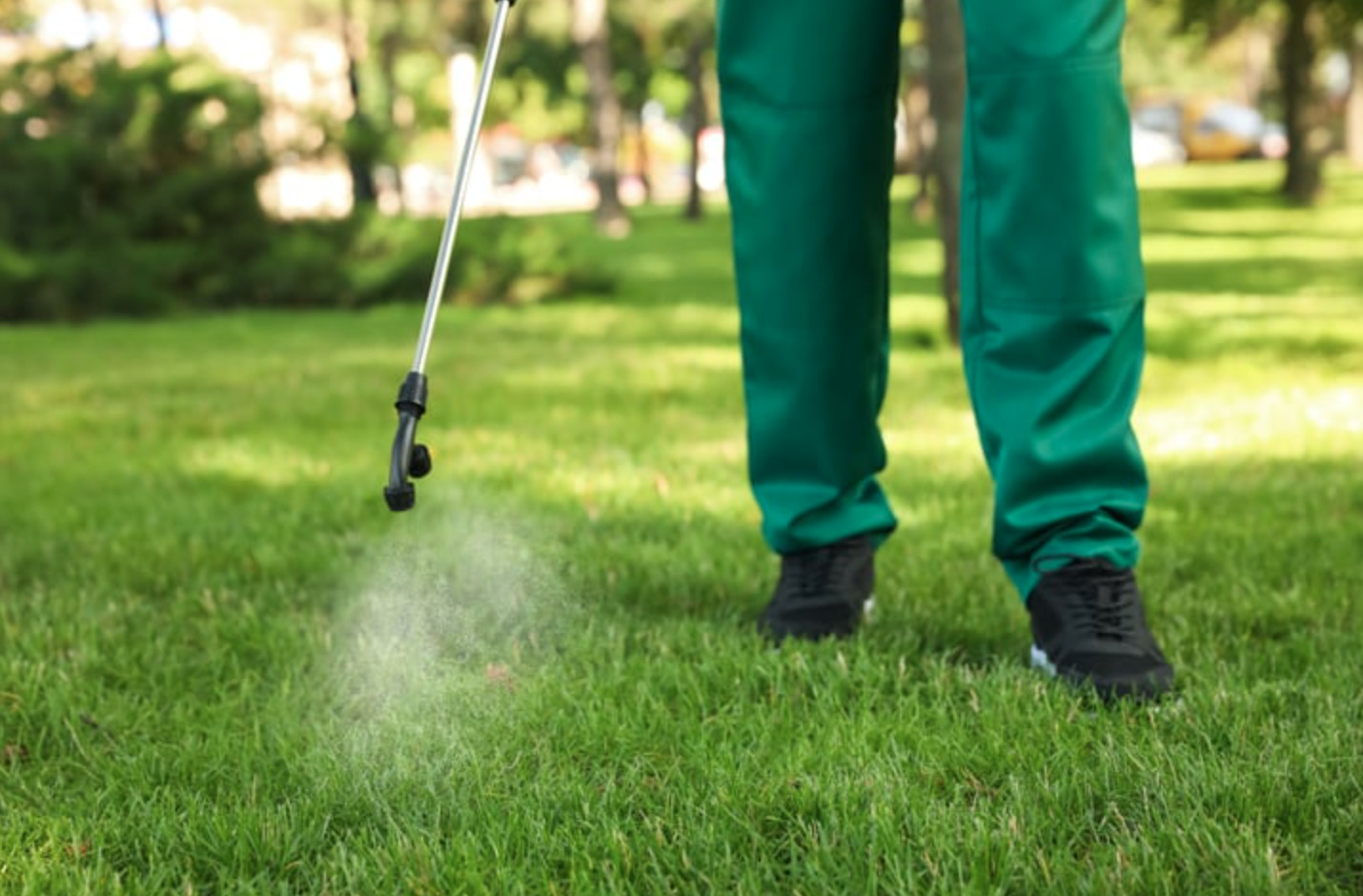 Our turf pest control spray being applied.